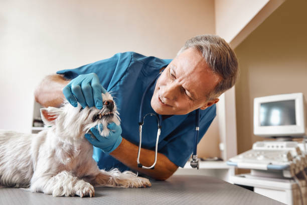 Best Emergency Wisdom Teeth Removal in Zebulon, NC